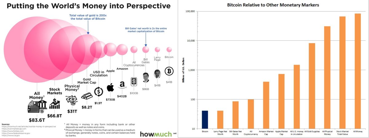 Case Study: The Bitcoin Economy